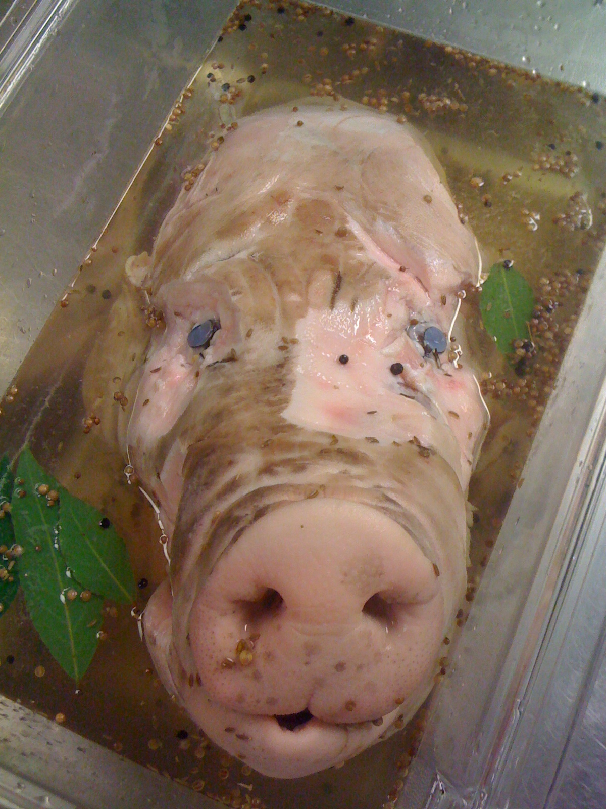 Making Head Cheese